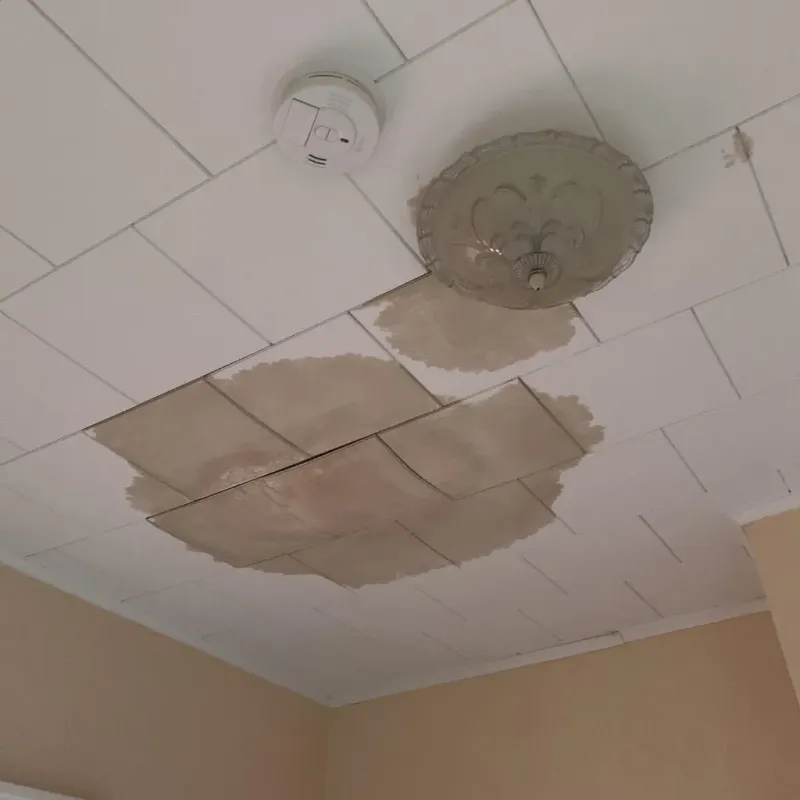 Ceiling Water Damage Repair in Fairfax Station, VA