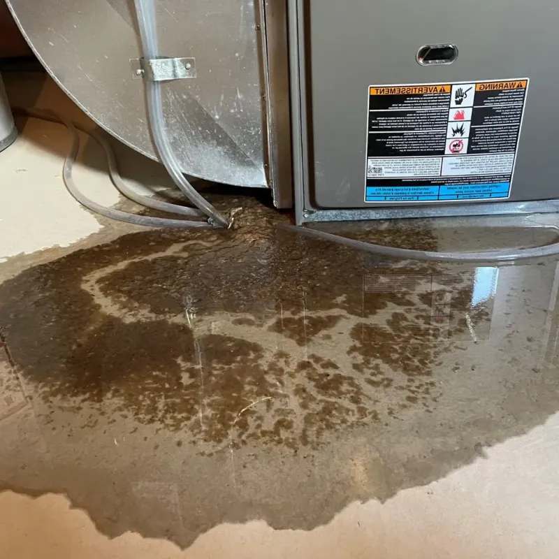 Pipe Burst and Leak Restoration in Fairfax Station, VA